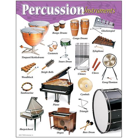 Percussive instrument
